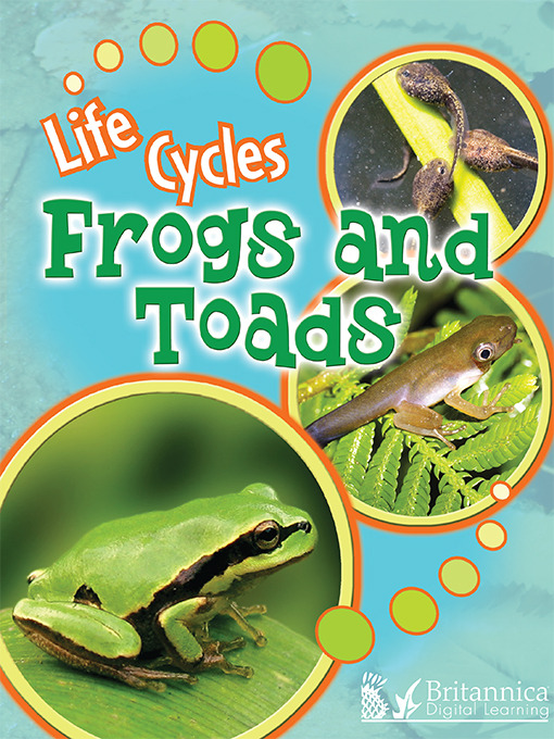 Title details for Frogs and Toads by Julie K. Lundgren - Available